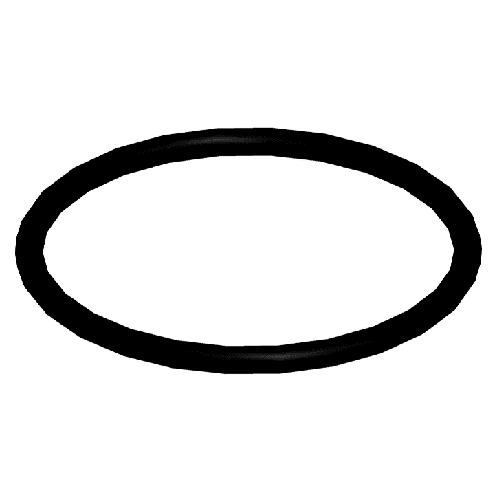 O-ring