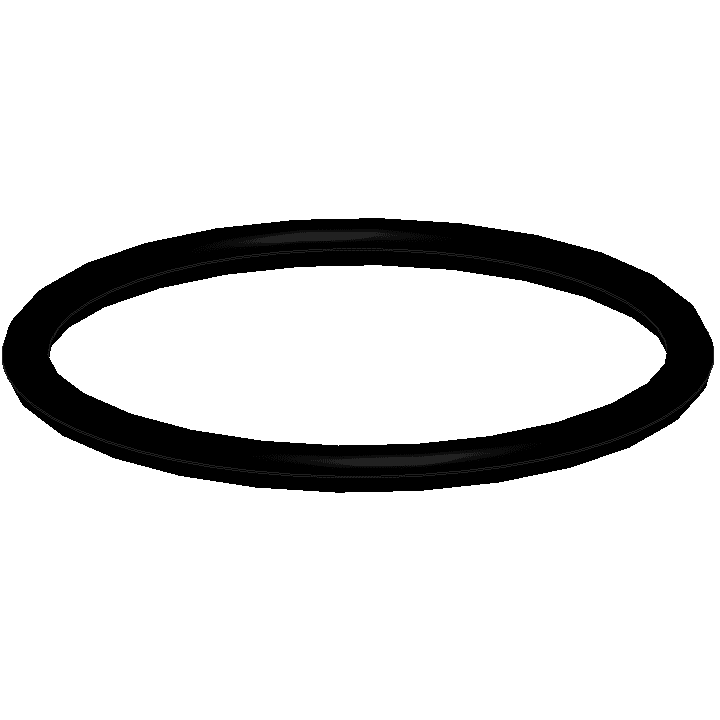 O-ring