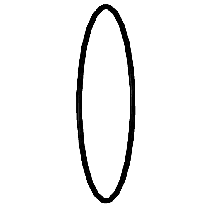 O-ring