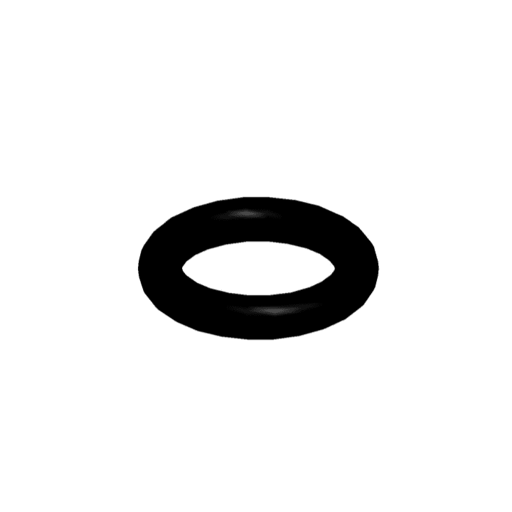 O-ring