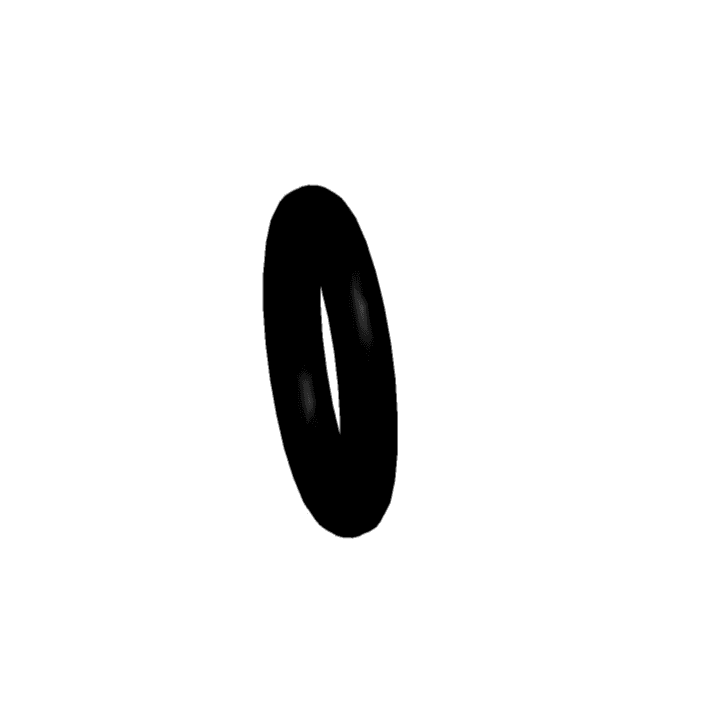 O-ring