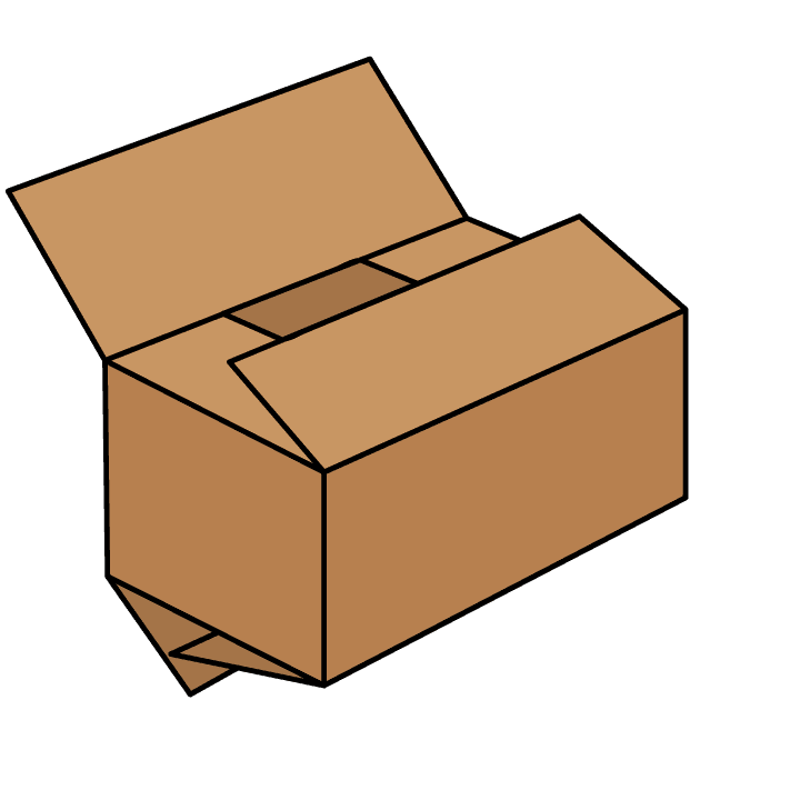 Case 0202