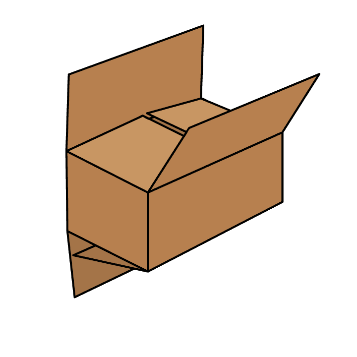 Case 0206