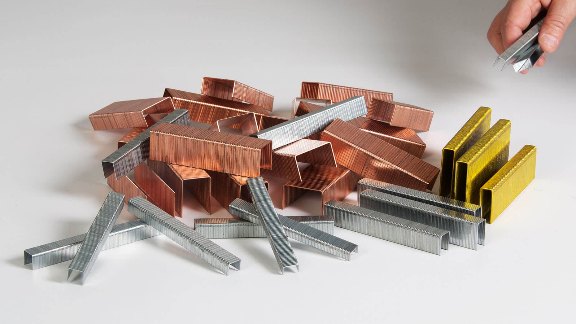 Staple guide - All you need to know about staples