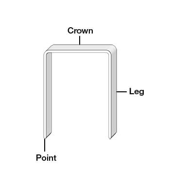 staple body parts crown, leg, point